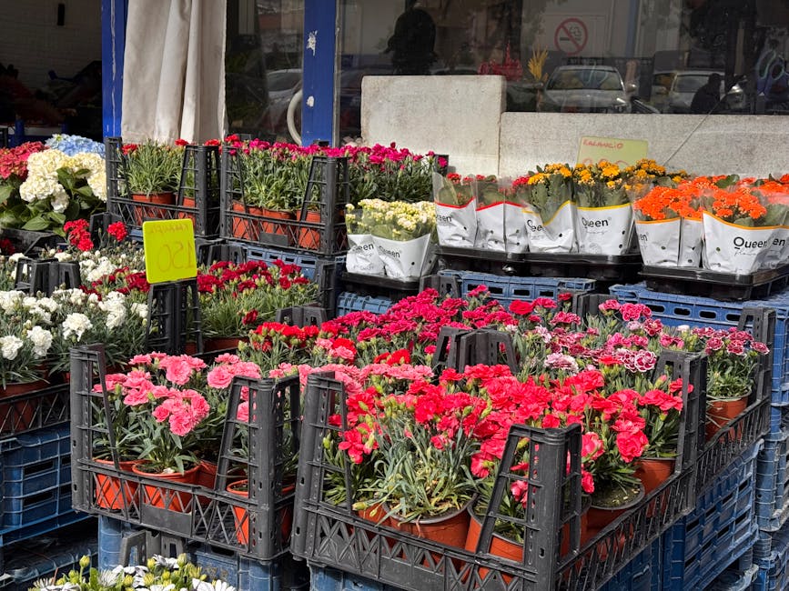 Outside flower shop displays an assortment of fresh flowering plants in terracotta pots arranged on black plastic crates for flower delivery, featuring bright pink, white, orange, and yellow petunias 